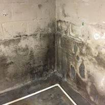 Westland Mold Inspection business image in Westland, MI